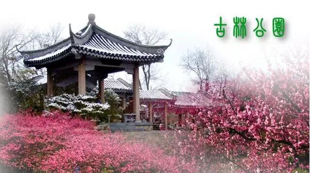 <b>【南京三门湾电器】周日4.24古林公园赏牡丹花、</b>